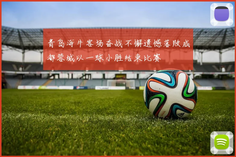 青岛海牛客场奋战不懈遗憾落败成都蓉城以一球小胜结束比赛